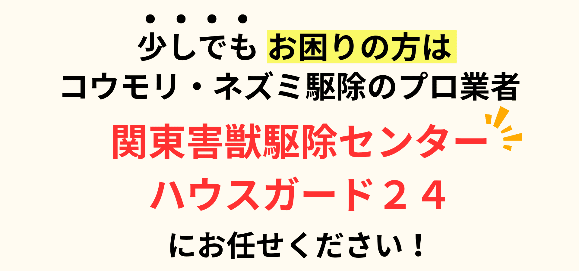 少しでもお困りの方はコウモリ・ネズミ駆除のプロ業者関東害獣駆除センターハウスガード24にお任せください!