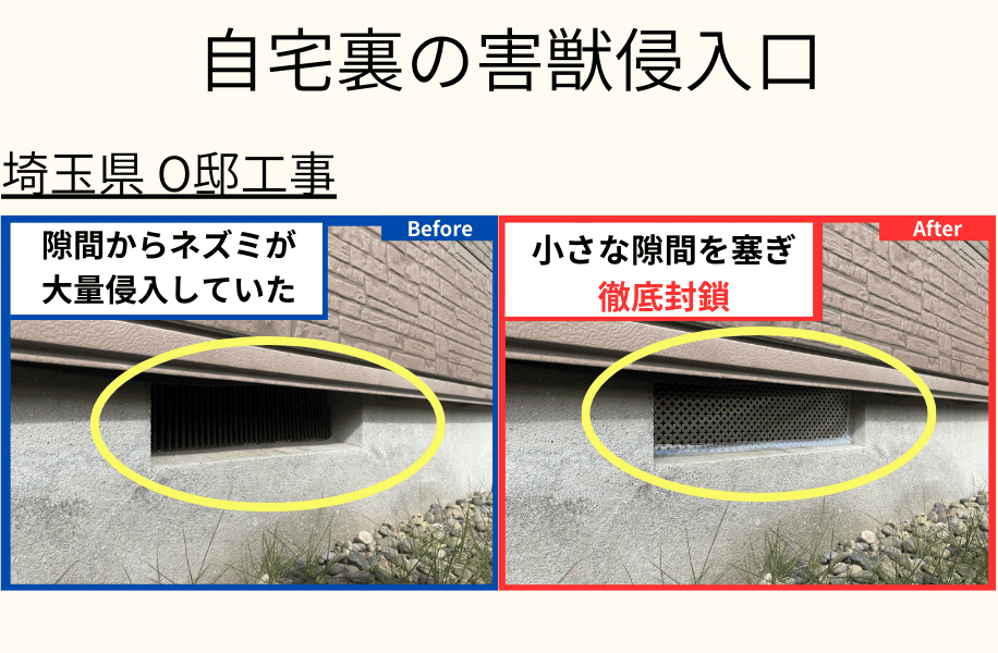 自宅裏の害獣侵入口 埼玉県O邸工事