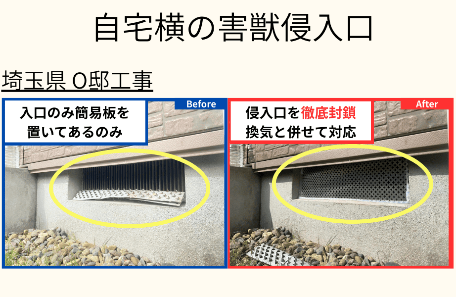自宅裏の害獣侵入口 埼玉県O邸工事