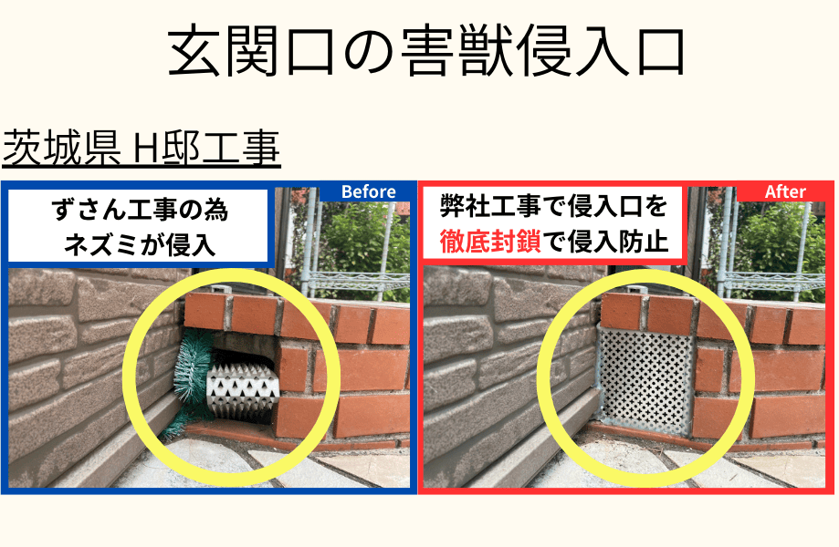 自宅裏の害獣侵入口 茨城県H邸工事